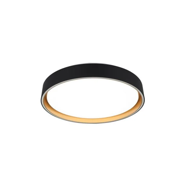 WYPRZEDAŻ RL FELIS R64391080 LAMPA SUFITOWA czarny