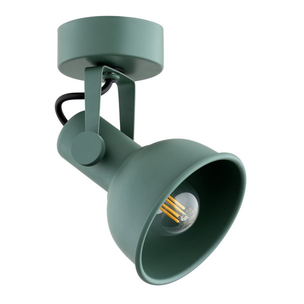 ARGON 8299 LENORA kinkiet / plafon 1 pł. zielony