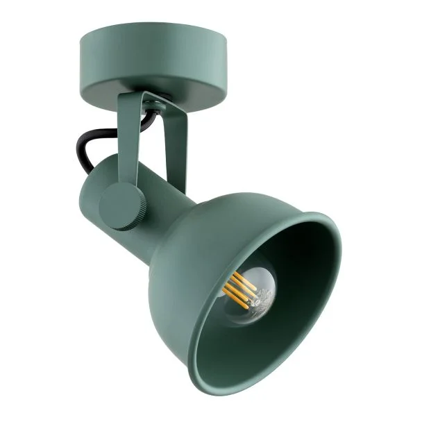 ARGON 8299 LENORA kinkiet / plafon 1 pł. zielony