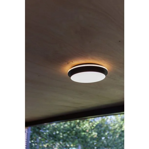 LUTEC 5205801012 LAMPA ZEWNĘTRZNA SUFITOWAGOLETA