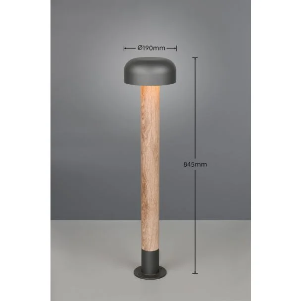 TRIO FRASER 462560135 lampa zewnętrzna stojąca