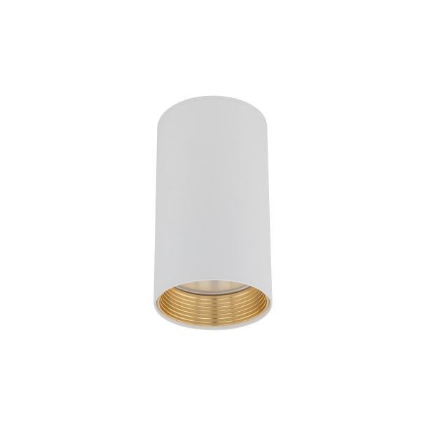 TK-LIGHTING 10719 AMIS WHITEDOWNLIGHT