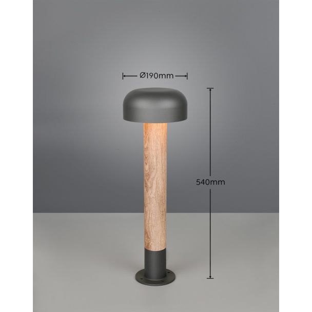 TRIO FRASER 562560135 lampa zewnętrzna stojąca