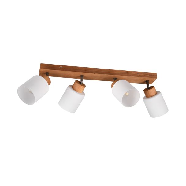 RL R81114030 ASSAM lampa sufitowa reflektor spot