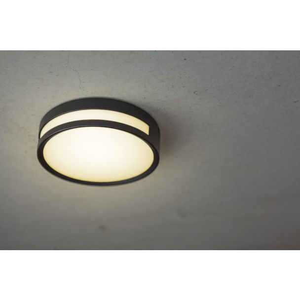 LUTEC 6382201012 ROLA lampa zewnętrzna sufitowa