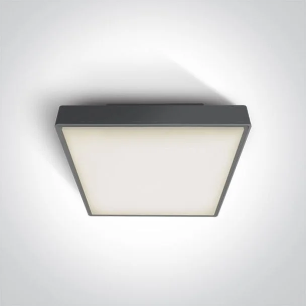 ONE LIGHT 67282AN/AN/W Pirnari 2 plafon antracyt LED 3000K 24W IP65