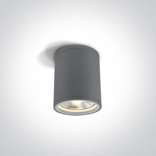ONE LIGHT 67132C/G Stromi S szary zewnętrzny cylinder sufitowy 75W PAR30 E27