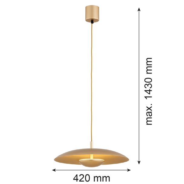 ARGON 8869 BOLTON lampa wisząca 1 pł.