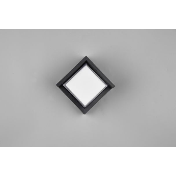 RL R27026132 PUNO lampa zewnętrzna ścienna