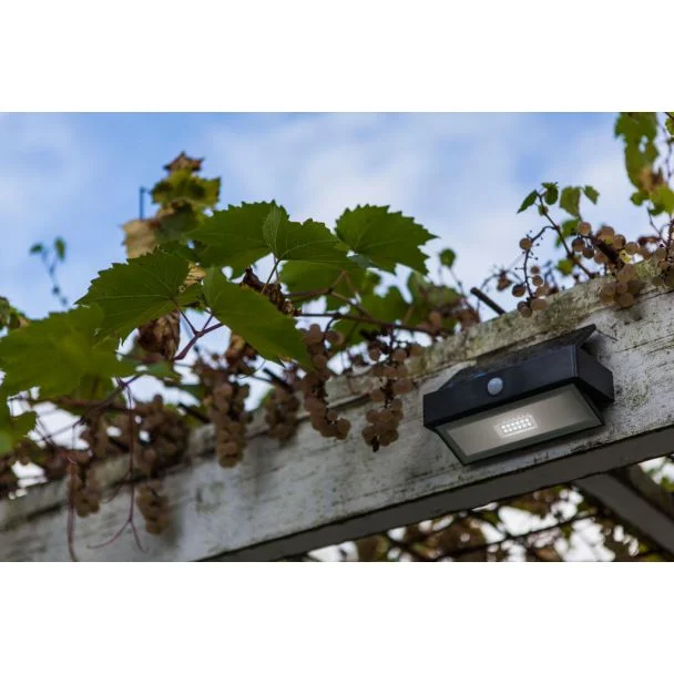 LUTEC ARROW 6910601335 LAMPA ŚCIENNA ZEWNĘTRZNA