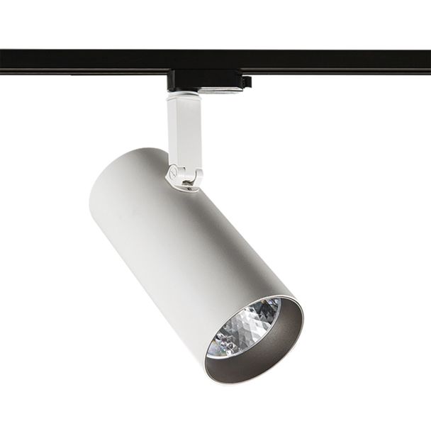 ITALUX Russo L TL7557/40W 4000K WH+GR reflektor 1-fazowy