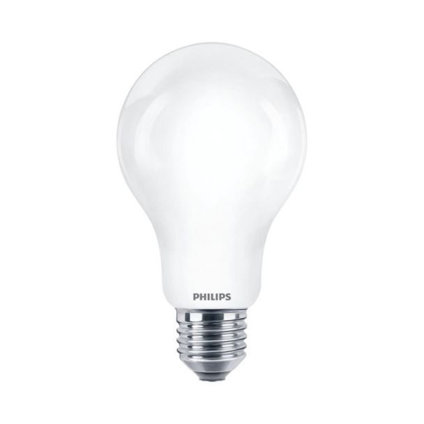 MILAGRO EKZPH054 Żarówka LED E27 13W 2700K A67 (2szt)
