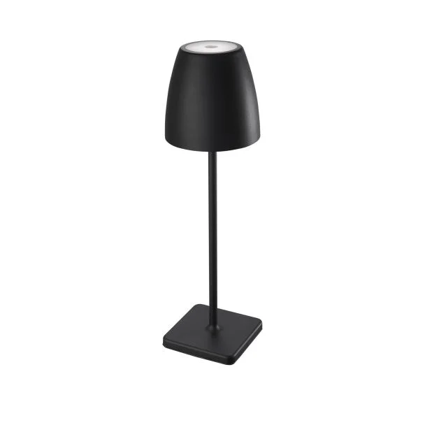 Luces Exclusivas AGUITA LE73547 LAMPA ZEWNETRZNA czarny