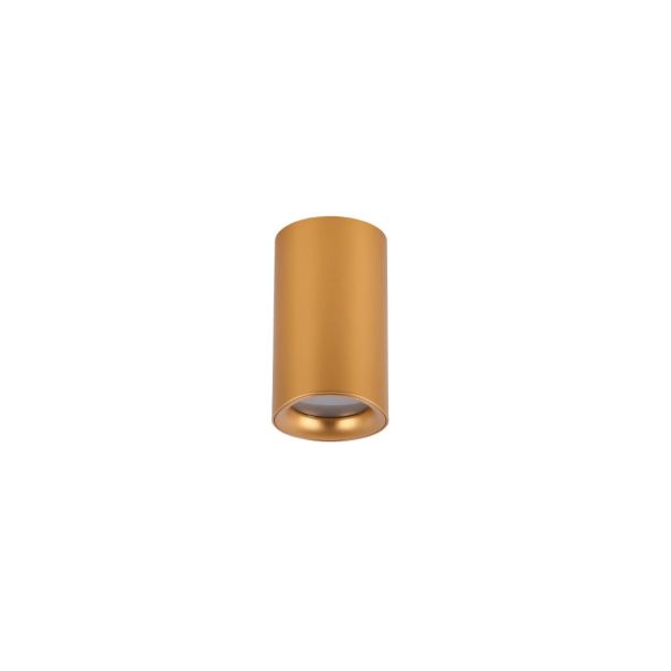 AZZARDO AZ5239 EIGER IP54 GO lampa sufitowa złoty