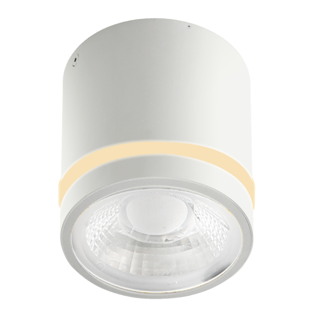 AZZARDO AZ6040 VICI IP44 12W CCT SWITCH WH
