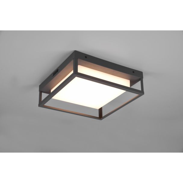 TRIO 677860142 WITHAM lampa zewnętrzna sufitowa
