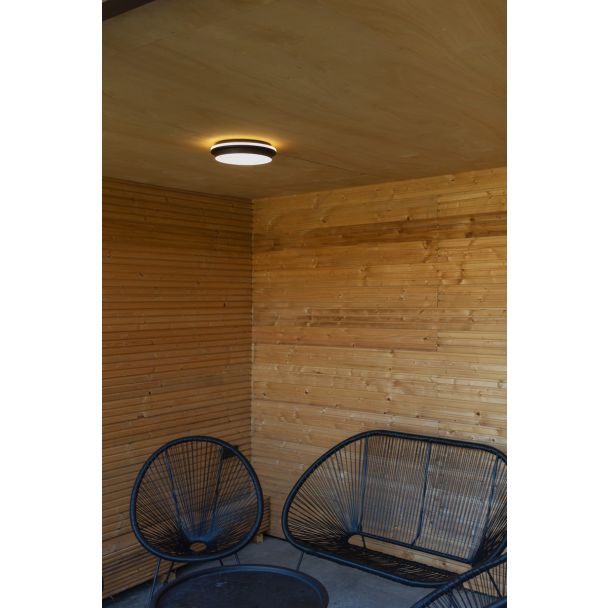 LUTEC 5205801012 LAMPA ZEWNĘTRZNA SUFITOWAGOLETA