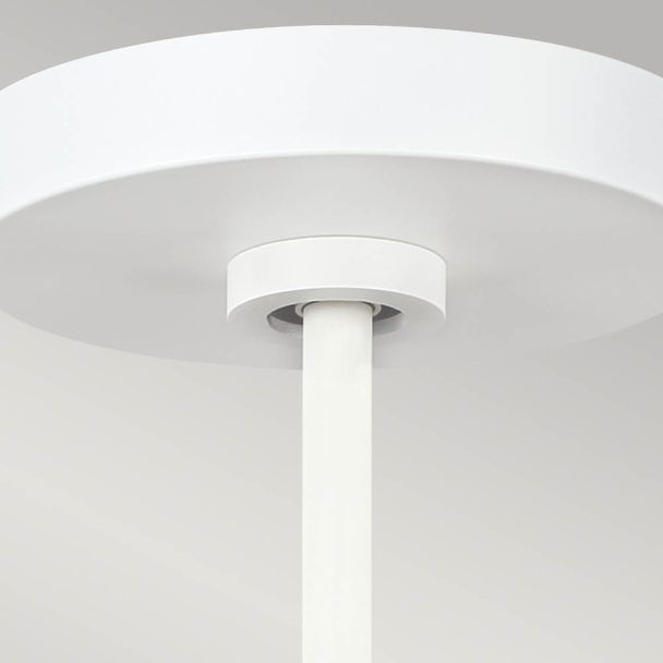 ELSTEAD Asher FE-ASHER-5P-WHT 5 Light Pendant - Matte White