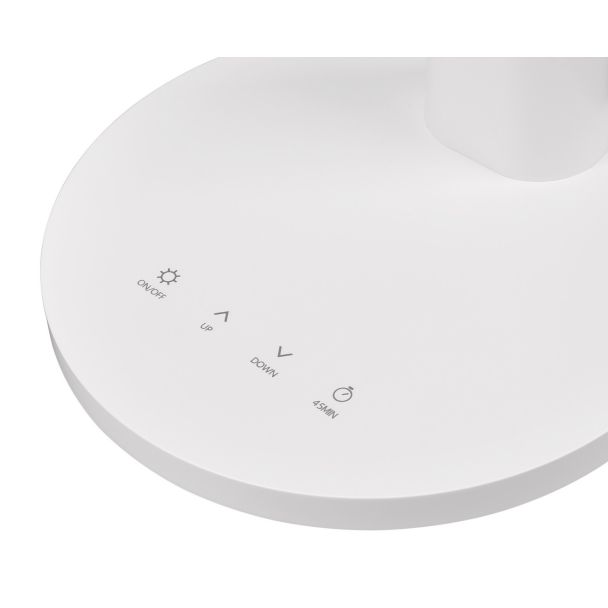 RL R52671101 LAMPA STOJĄCA BIURKOWA SALLY