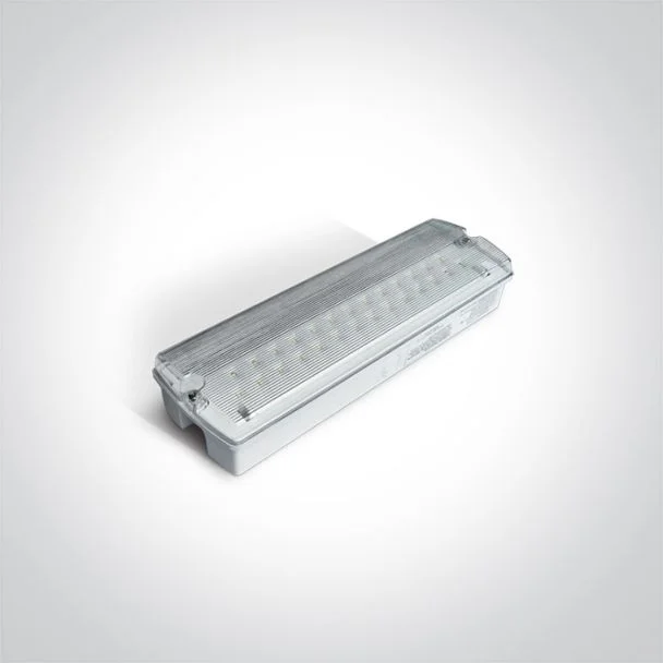 ONE LIGHT 89404 oświetlenie awaryjne sufitowe i ścienne LED 6000K IP65