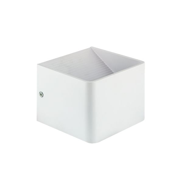 IDEUS 23 RACA LED 5W WHITE 4000K Oprawa dekoracyjna COB LED