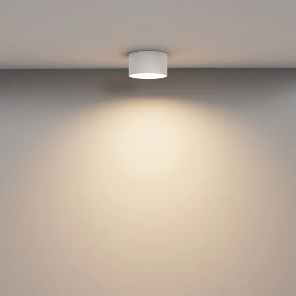 MAYTONI Lampa sufitowa C089CL-12W3K-W