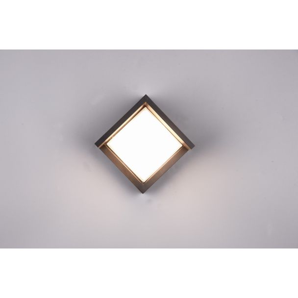 RL R27026132 PUNO lampa zewnętrzna ścienna
