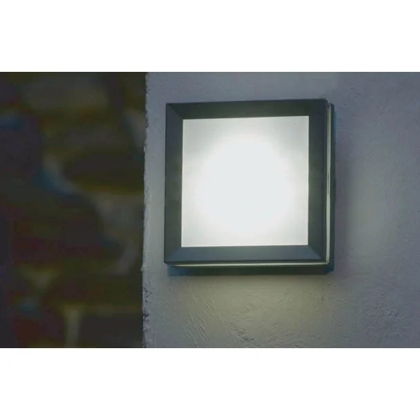 ELSTEAD Egil EGIL-1W 1 Light Wall/Ceiling Lantern