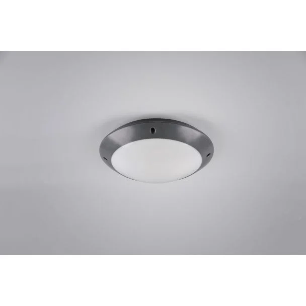 RL CAMARO R60501042 LAMPA SUFITOWA - ZEWNĘTRZNA