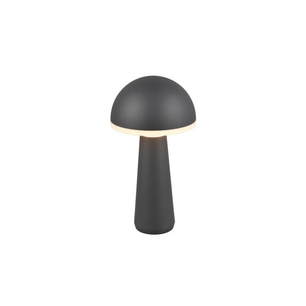 RL FUNGO R57716142 LAMPA ZEWNĘTRZNA PRZENOŚNA antracyt
