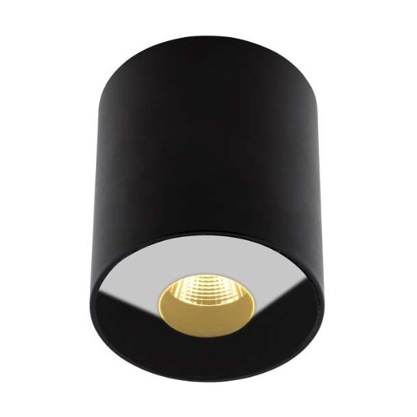 MAXLIGHT PLAZMA plafon IP54 C0151