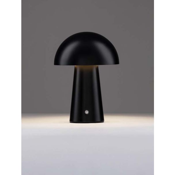 LUCES EXCLUSIVAS CASTORO LE45584 lampa stołowa