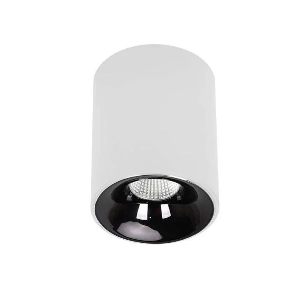 LIGHT PRESTIGE LP-4848/1RM WH Oprawa natynkowa Tom biała LED CCT