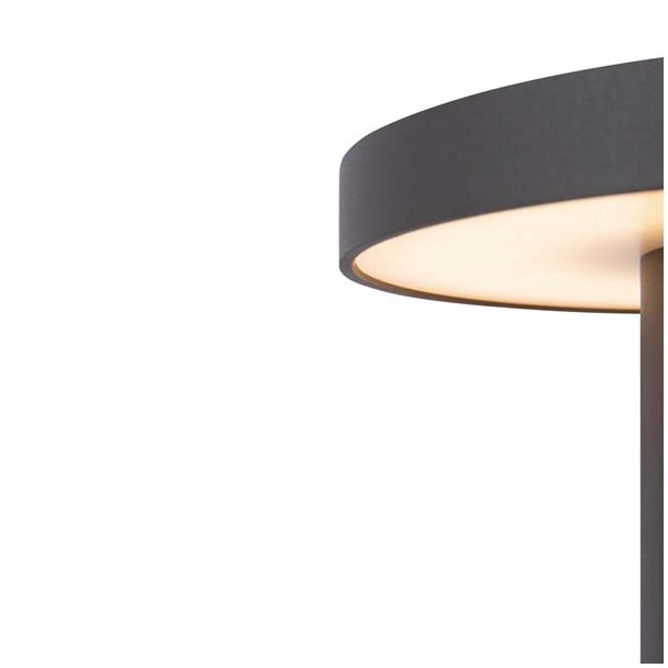 MAYTONI O420FL-L12GF Wald Landscape Lighting grafitowy