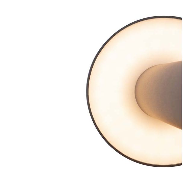 MAYTONI O420FL-L12GF Wald Landscape Lighting grafitowy