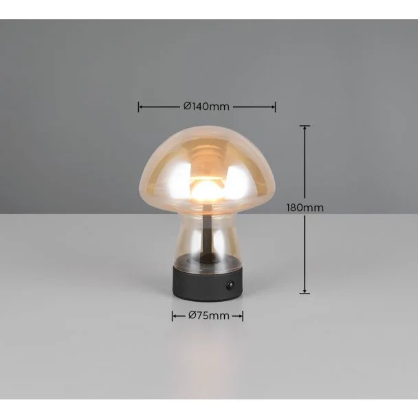 RL DOOLEY R54981113 lampa stołowa