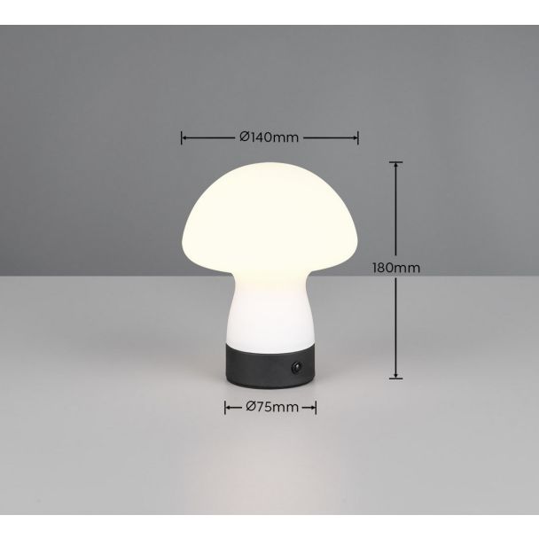 RL DOOLEY R54981131 lampa stołowa