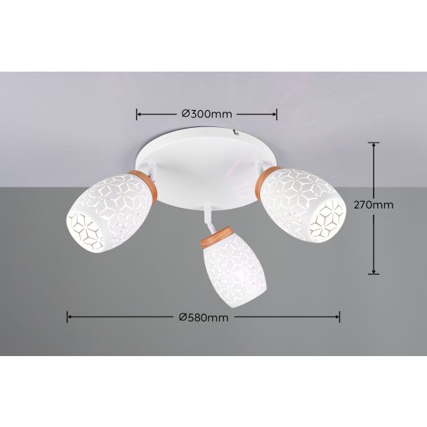 RL BIDAR R61573331 reflektor