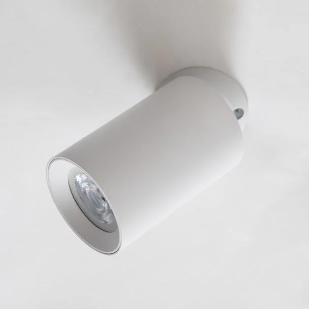 ZUMALINE TLS006-WH TORE LAMPA SUFITOWA BIAŁA/WHITE