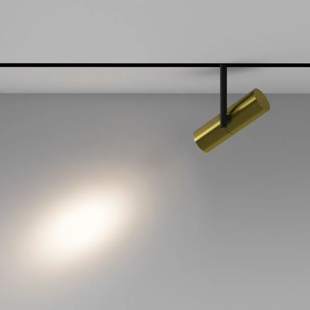 MAYTONI Lampa szynowa TR005-2-12W3K-BBS