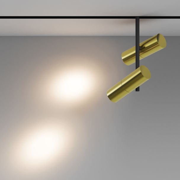 MAYTONI Lampa szynowa TR005-2-2X12W3K-BBS