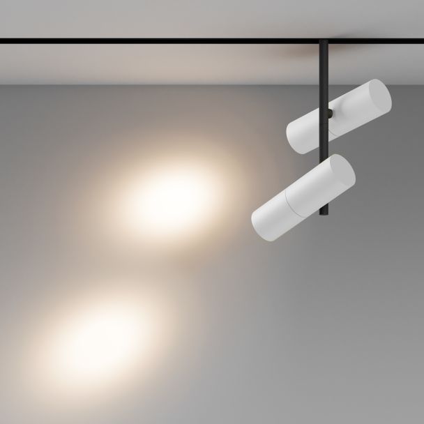 MAYTONI Lampa szynowa TR005-2-2X12W3K-BW
