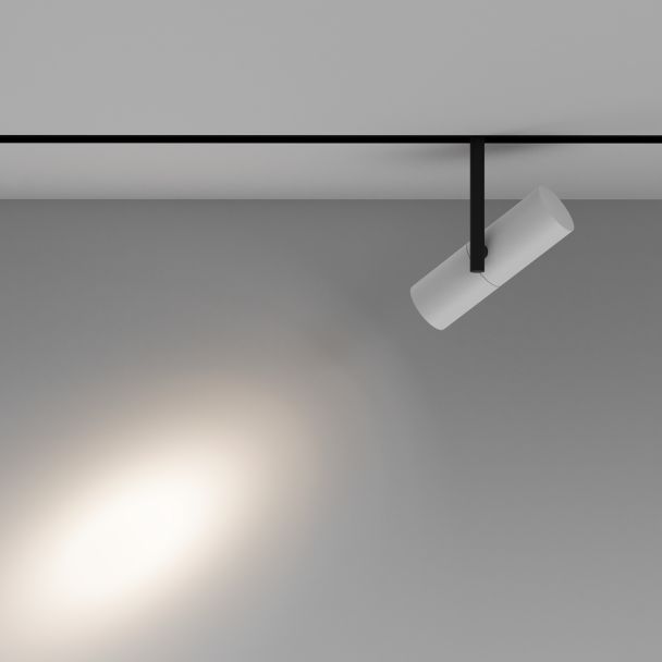 MAYTONI Lampa szynowa TR005-4-12W-DS-BW