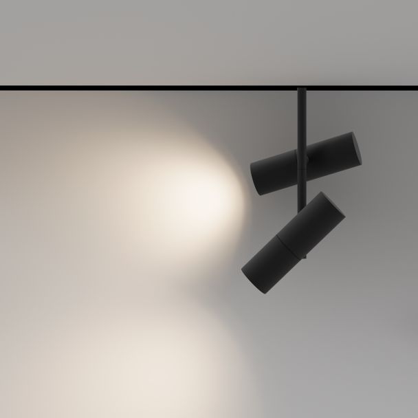 MAYTONI Lampa szynowa TR005-4-2X12W-DS-B