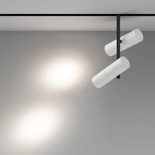 MAYTONI Lampa szynowa TR005-4-2X12W-DS-BW