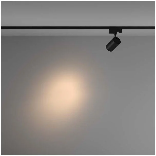 MAYTONI TR029-3-10W3K-S-B Vuoro Track Lighting czarny