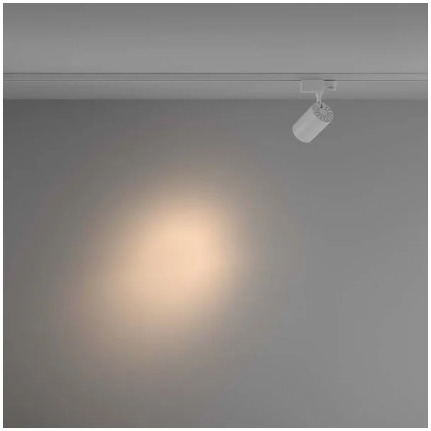 MAYTONI TR029-3-10W3K-S-W Vuoro Track Lighting biały