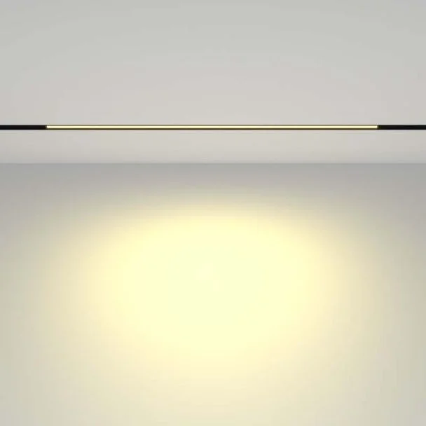 MAYTONI TR030-2-24W2.7K-B Basis oświetlenie szynowe