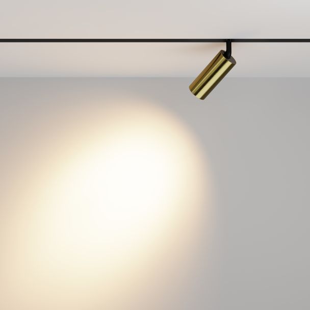MAYTONI Lampa szynowa TR032-2-12W3K-M-BBS