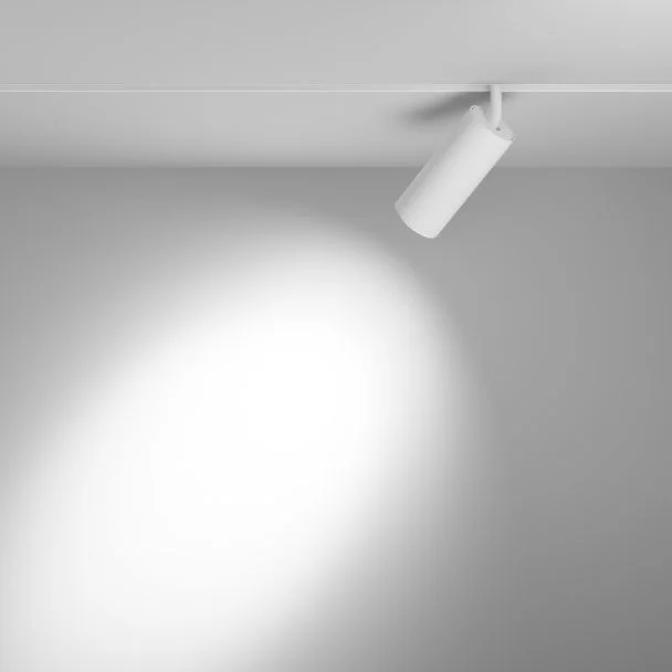 MAYTONI Lampa szynowa TR032-4-20WTW-S-DD-W